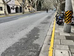 -毛辣果·酸(OHA复兴西路店)