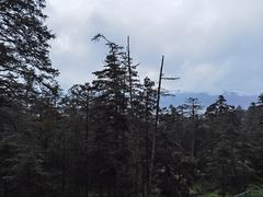 -玉龙雪山游客服务中心