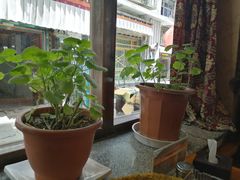 -玛禄藏膳(五分店)