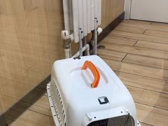 -瑞派·关忠动物医院猫科外科·异宠·24小时转诊中心(祥云店)