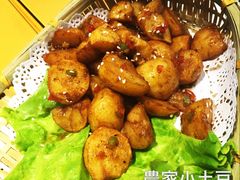 -素虎小呆鸟(西二旗店)