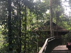 -西双版纳基诺山寨