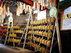 -都念榴莲·城市榴莲