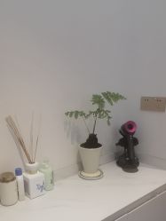 -WENDY·温迪皮肤管理