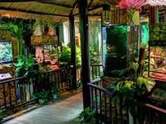 -昆明大悦城未来动物城(螺蛳湾中心店)