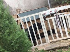 -明月山庄私房菜(环海东路店)