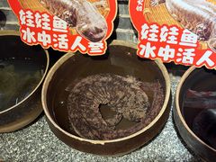 -印象鲵宴·张家界地标美食名片(溪布街店)