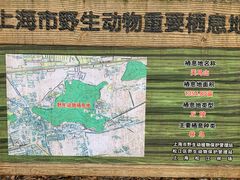 -上海佘山国家森林公园天马山园