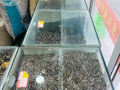 -刘艳明炒货(小心桥店)