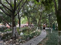 -成都市活水公园
