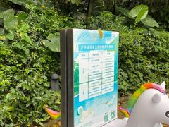 -深圳隐秀山居酒店
