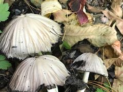 -丹东天桥沟景区