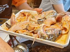 -费明中罗非鱼(大石坝店)