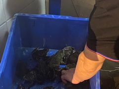 -老哥门肥肠鱼(鱼嘴店)