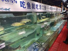 水产区-胖姐渔村(中源大道店)