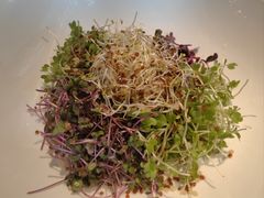 -东海朗廷酒店-唐阁T’ANG COURT 中餐厅