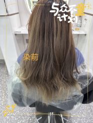 点击看大图 -木马造型