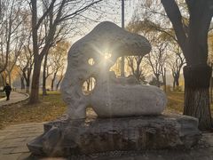 -裕华世纪公园