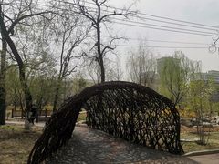 -莲花池公园