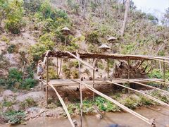 -西双版纳原始森林公园