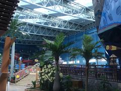 -青岛东方影都融创水世界