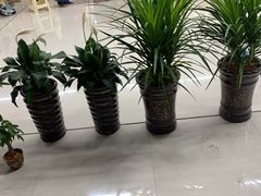 -火咂咂竹筒宴(告庄店)