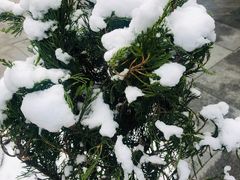 -春晖园度假酒店温泉