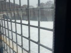 -横道河子东北虎林园