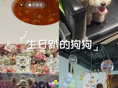 -百好乐宠物友好餐厅(朝外大街店)