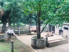 -昆明动物园