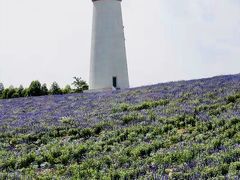 -紫颐香薰山谷景区