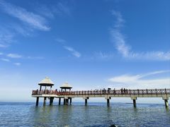 -养马岛旅游度假区