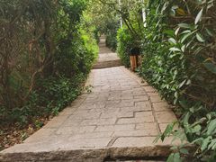 -水濂山森林公园