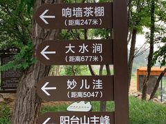 -阳台山自然风景区