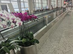 -广州白云国际机场-T2航站楼