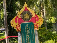 -西双版纳原始森林公园