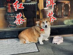 -边疆缘正宗腾冲风味菜馆(腾冲店)