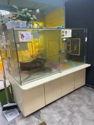 -神奇动物撸宠馆·羊驼·小浣熊·异宠(豫园店)