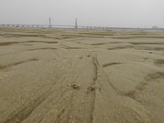 -北海金海湾红树林生态旅游区