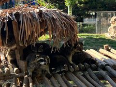 -石家庄市动物园