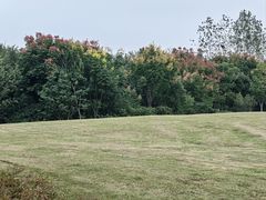 -盘龙城国家考古遗址公园