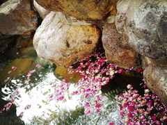 -厦门日月谷温泉渡假村