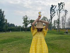 -三圣花乡旅游区