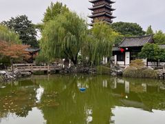 -常熟方塔园