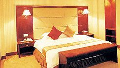 4-维也纳国际酒店(深圳新洲店)