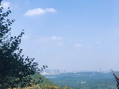 -韬光茶庵