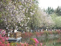 -星湖旅游景区七星岩