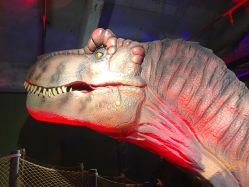 -恐龙探索乐园(磁器口店)