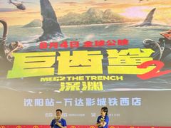 -万达影城(IMAX激光铁西万达广场店)