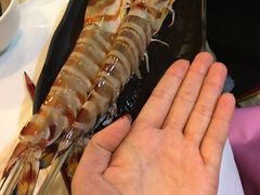 花竹虾-鲜入围煮花胶鸡海鲜火锅